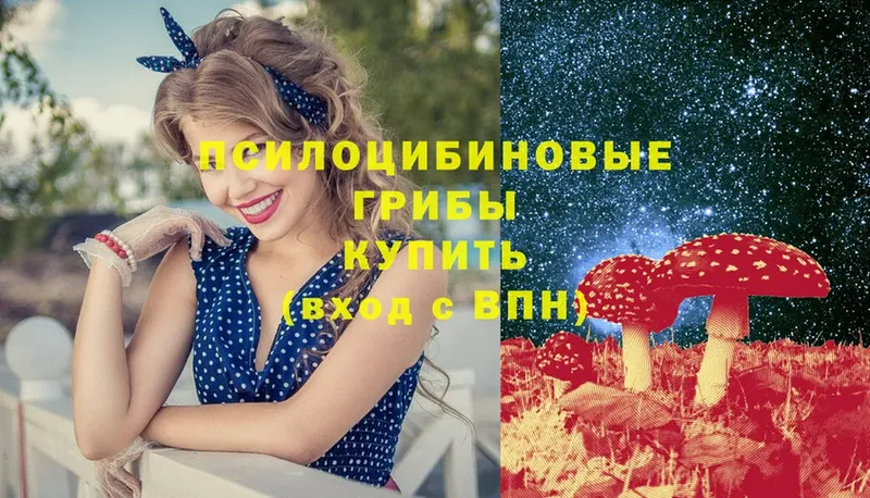 Псилоцибиновые грибы мухоморы  купить наркоту  Сольвычегодск 